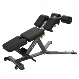 Скамья для пресса и разгибания спины TRUE FITNESS LINE FS-22