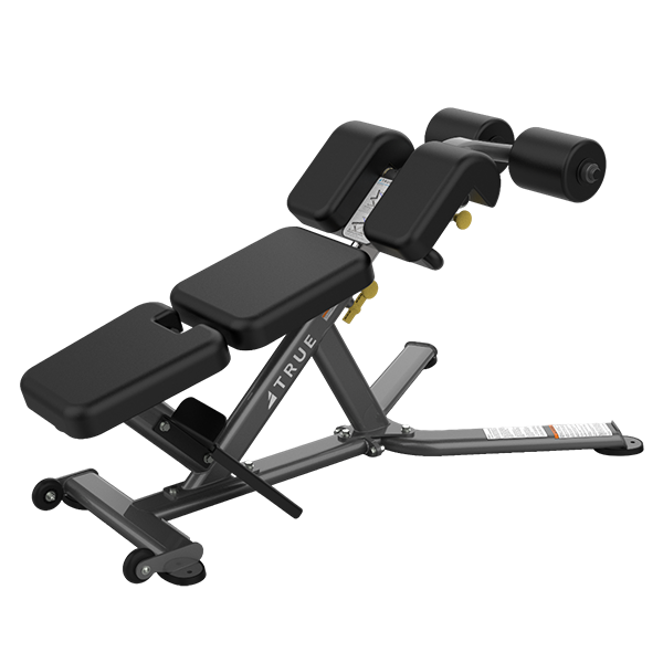 Скамья для пресса и разгибания спины TRUE FITNESS LINE FS-22