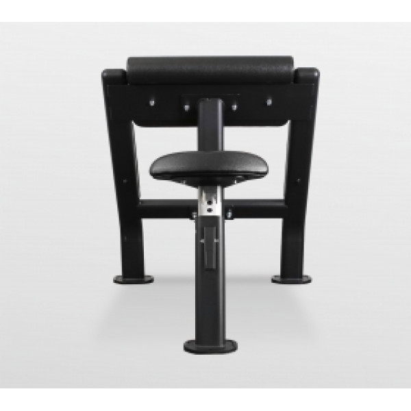 BRONZE GYM BR-1007 Скамья Скотта