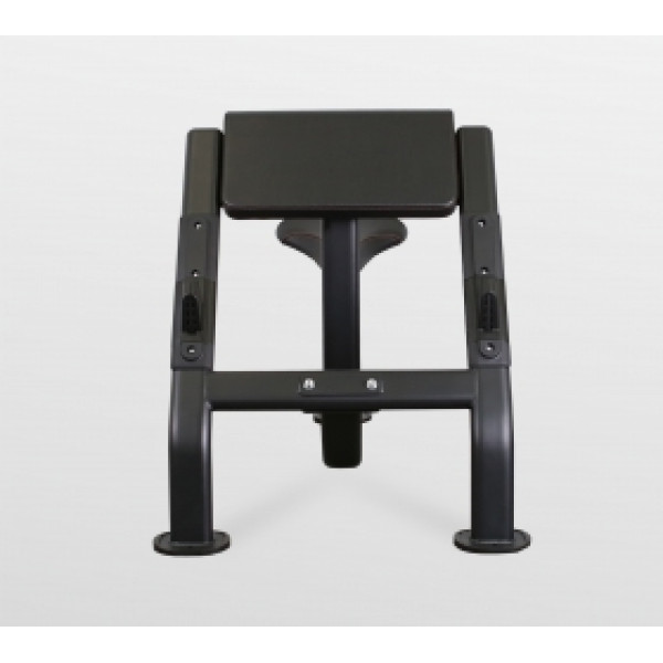 BRONZE GYM BR-1007 Скамья Скотта