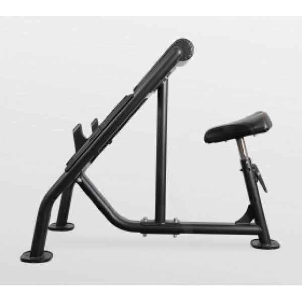 BRONZE GYM BR-1007 Скамья Скотта
