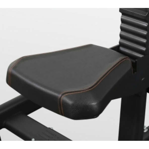 BRONZE GYM PL-1712 Трицепс