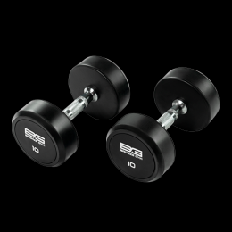 BRONZE GYM BG-PA-DB-R100 Гантель обрезиненная 10 кг