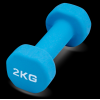 Гантель для аэробики неопреновая PRCTZ NEOPRENE DUMBBELL, 2 кг.