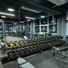 Гантельный ряд POWER (шаг 2,5 кг, 10 пар) PROFI-FIT 27,5-50 кг