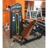E-1006В Жим от плеч (Shoulder Press). Стек 109 кг.