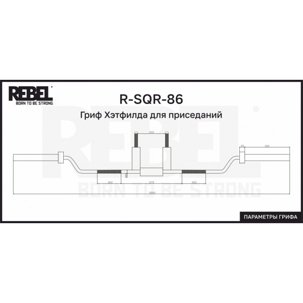 Гриф Хэтфилда для приседаний REBEL