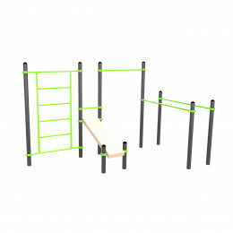 Воркаут (брусья, турник, шведская стенка и наклонная скамья для пресса) W301