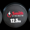 Набор обрезиненных гантелей Smith DB145-2(пара) от 40 до 50кг, с шагом 2,5кг