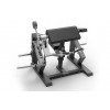 Бицепс машина Spirit SP-4513