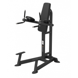 Пресс/брусья Spirit SP-4215
